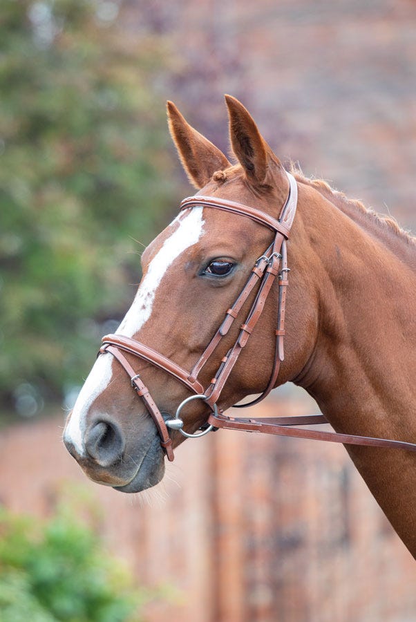 Avignon Padded Raised Flash Bridle - Image 4