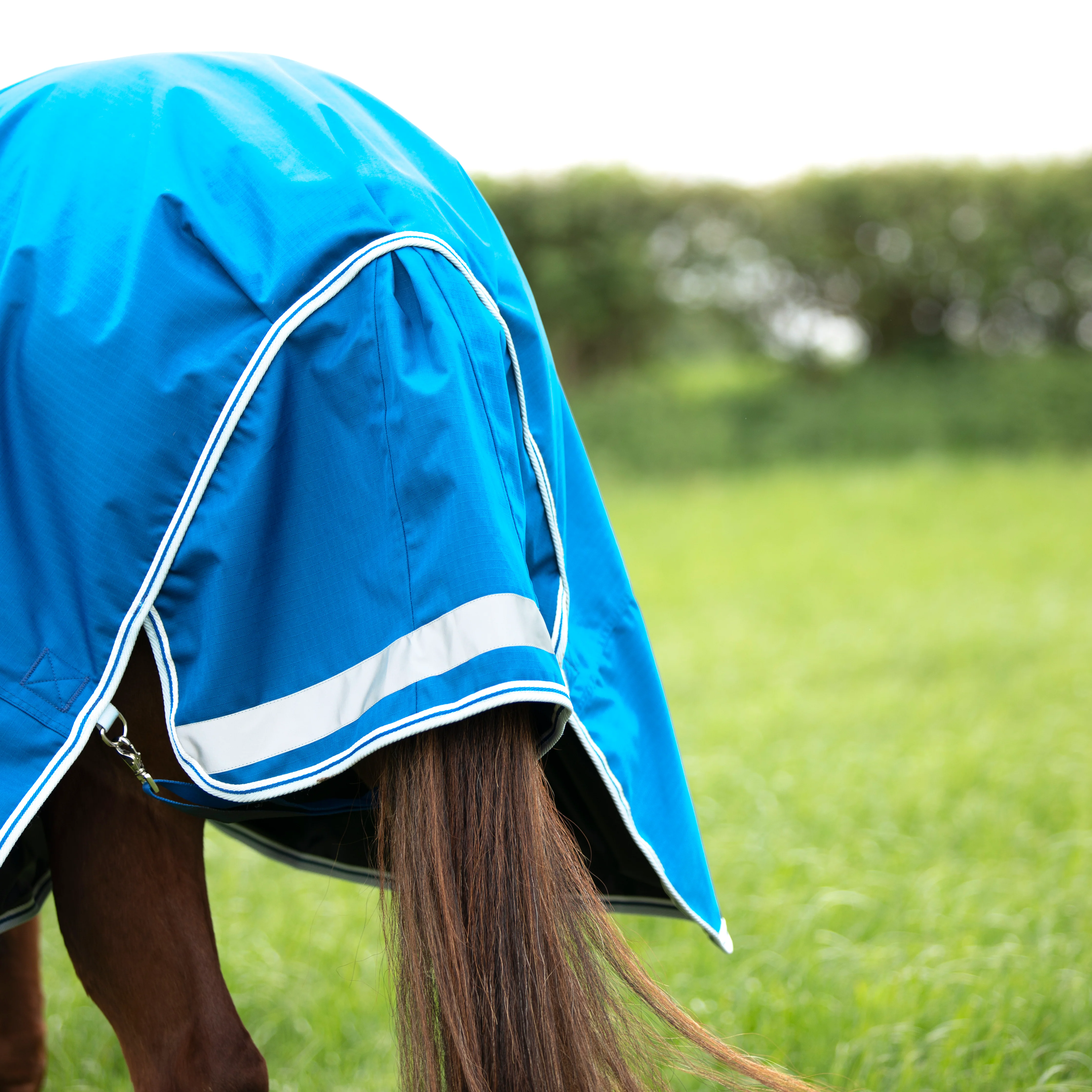 Shires Highlander Original 200 Turnout Rug - Image 5