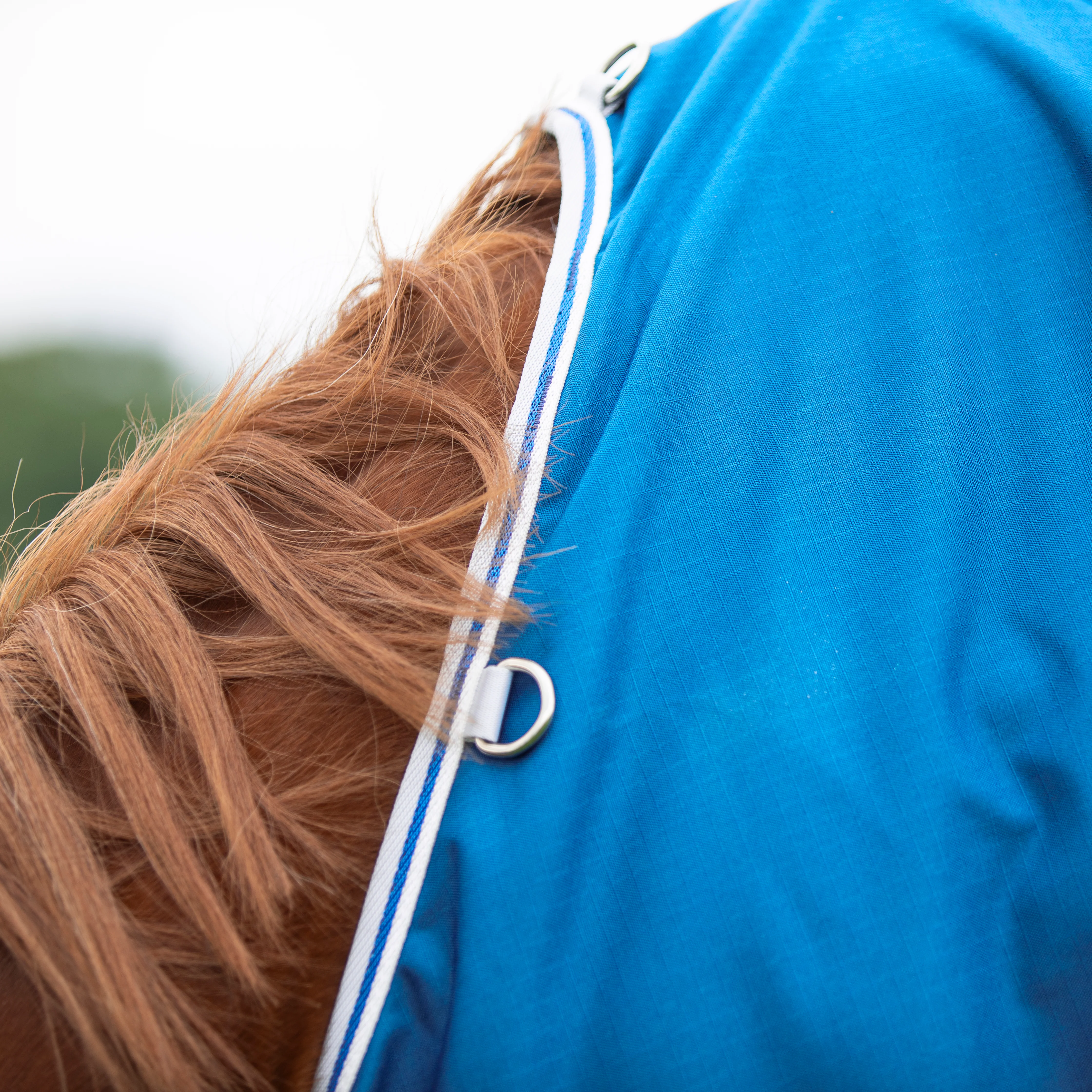 Shires Highlander Original 200 Turnout Rug - Image 6