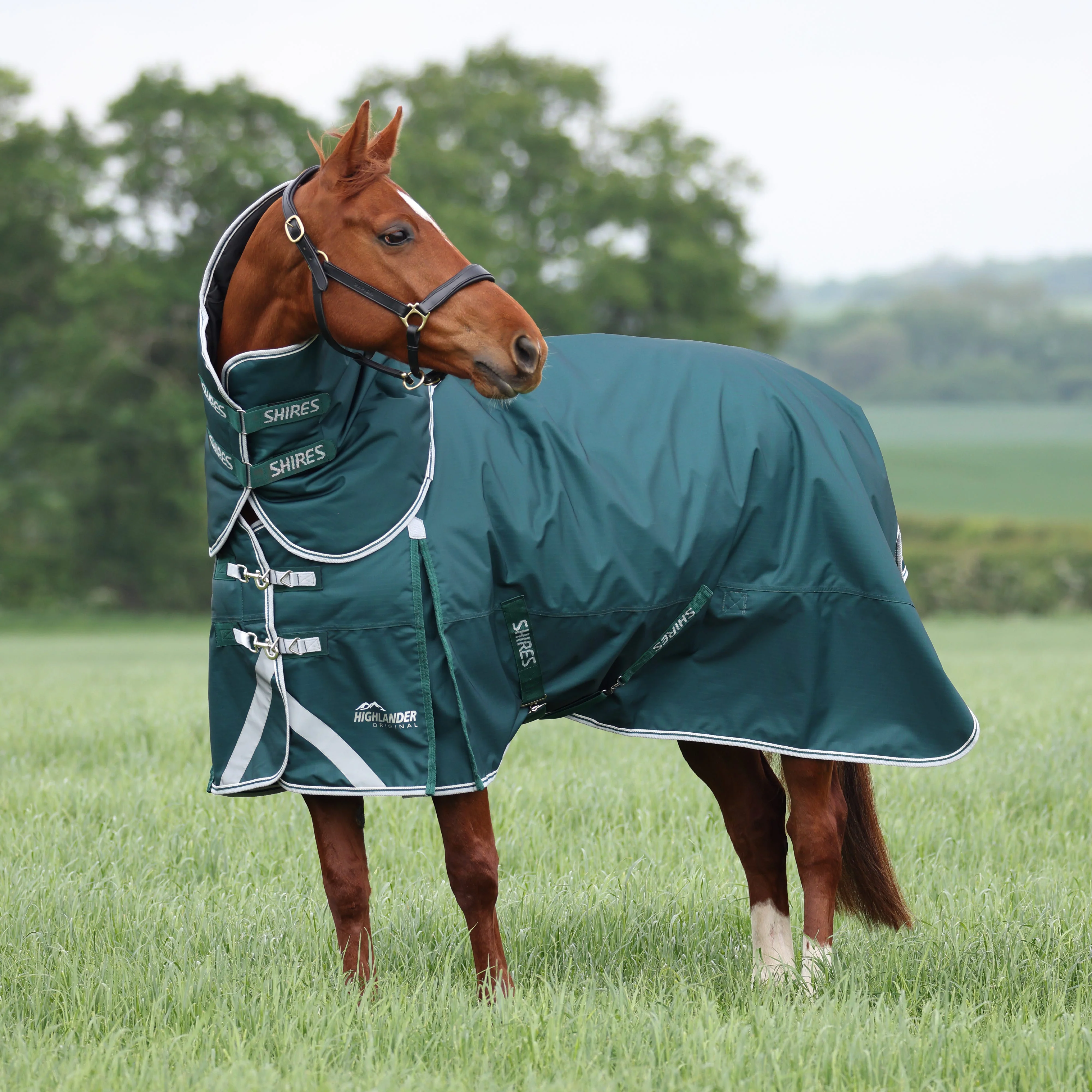 Shires Highlander Original 300 Turnout Rug & Neck Set - Image 7