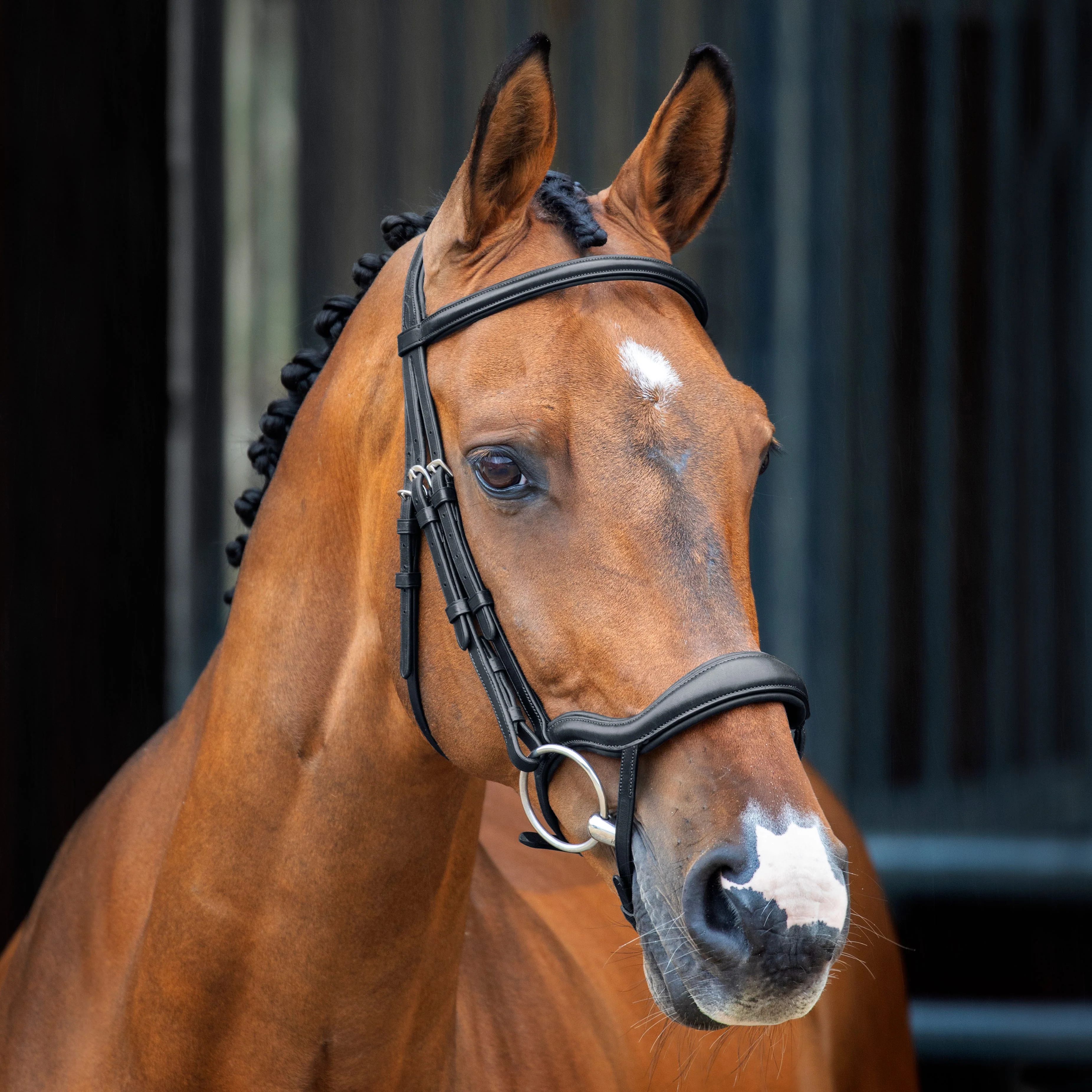 Velociti Lusso Ergonomic Flash Bridle - Image 3