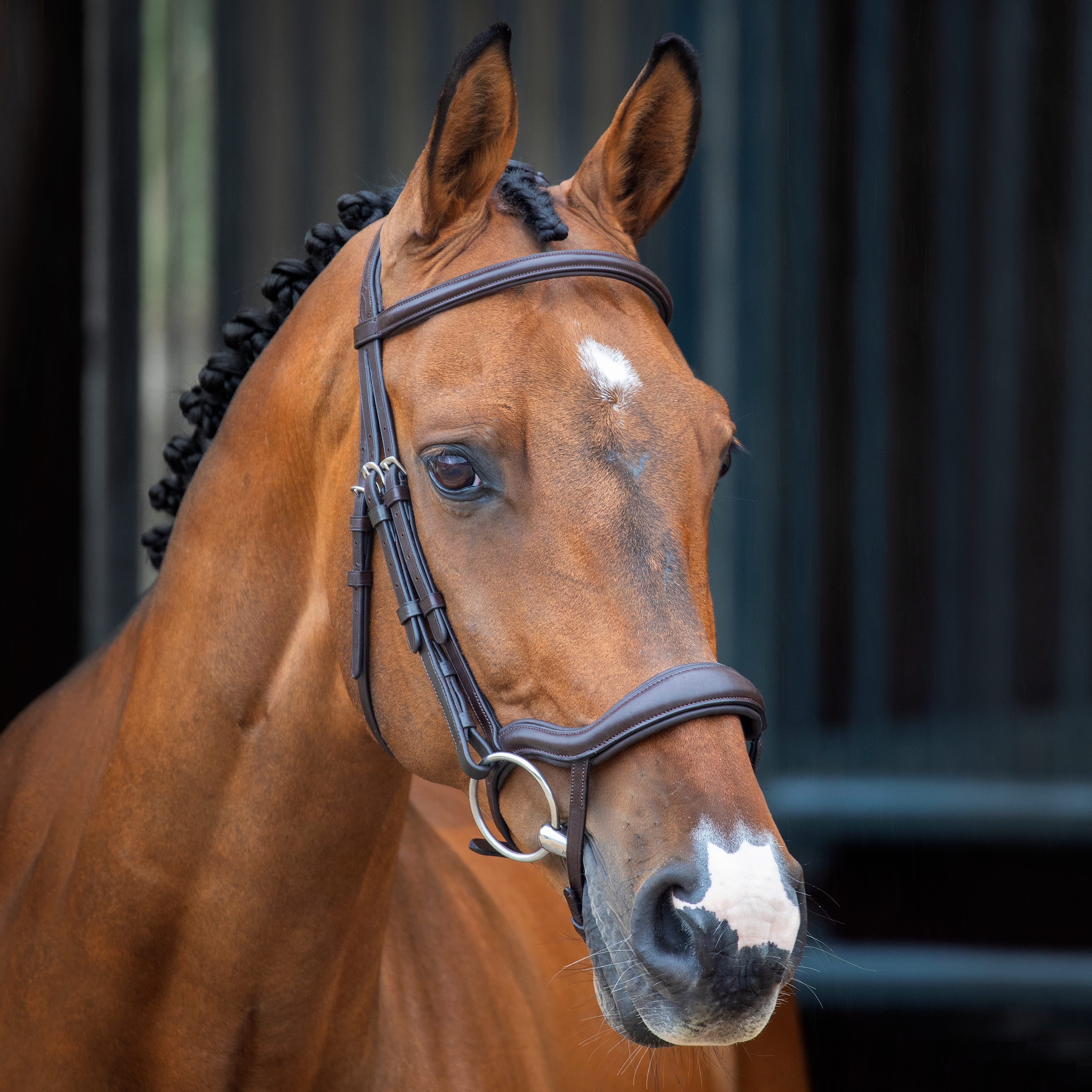 Velociti Lusso Ergonomic Flash Bridle - Image 4