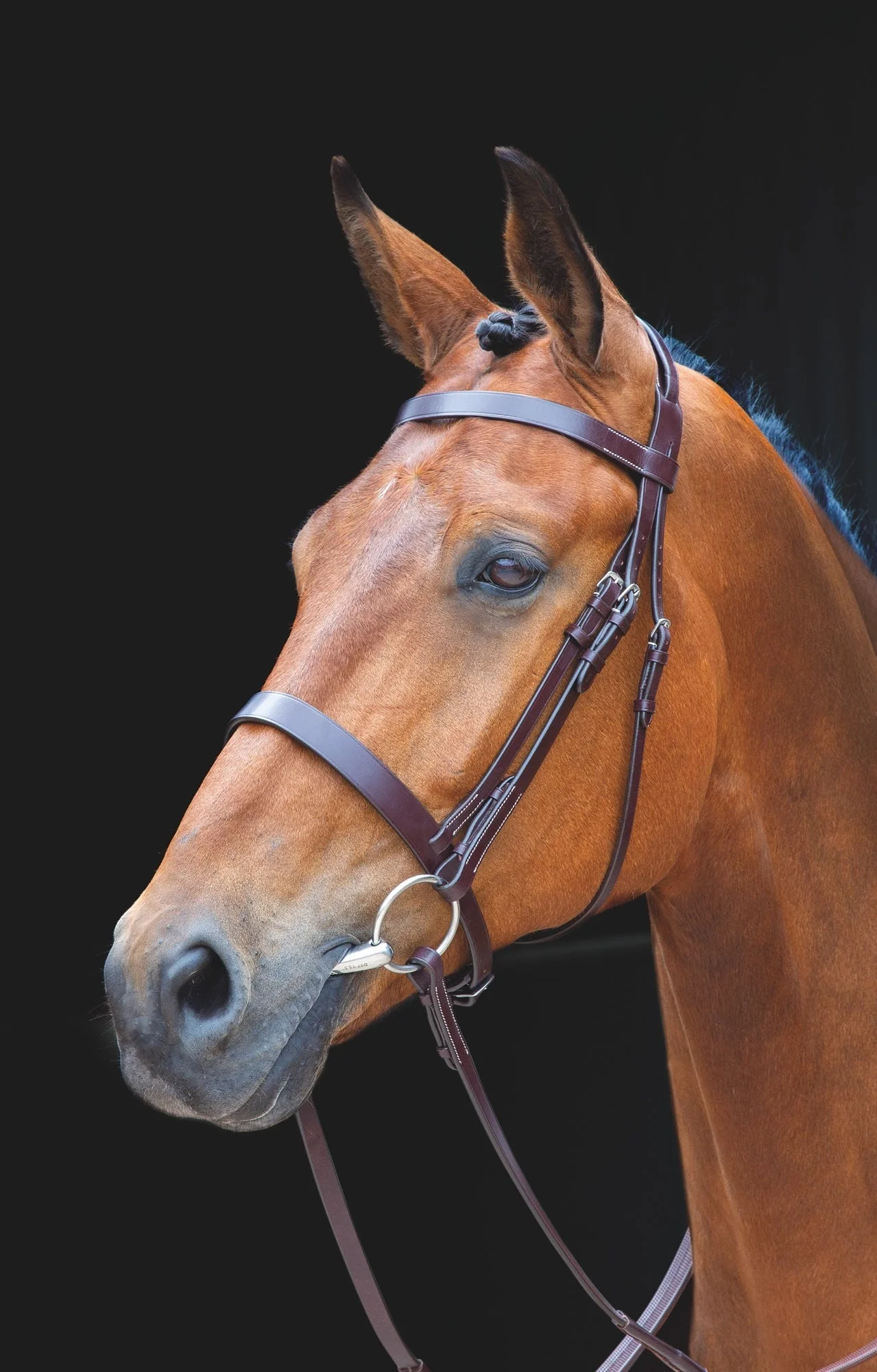 Salisbury Berrington Bridle - Image 2