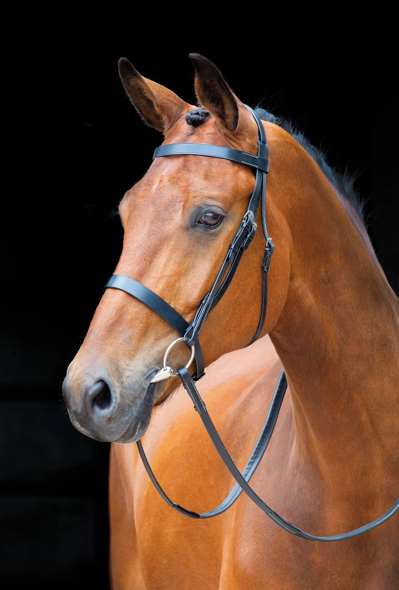 Salisbury Berrington Bridle - Image 3