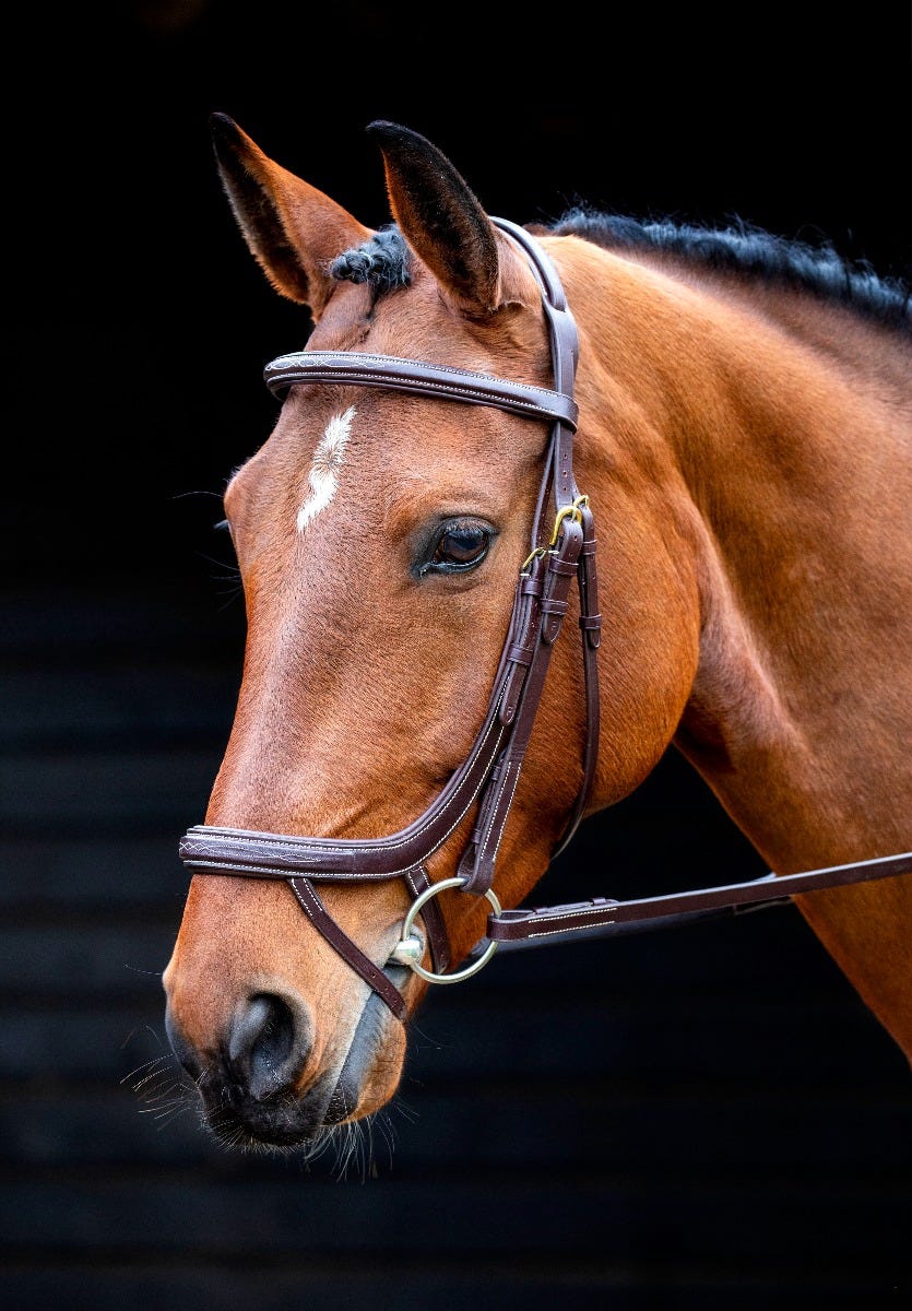 Salisbury Buckingham Bridle - Image 2