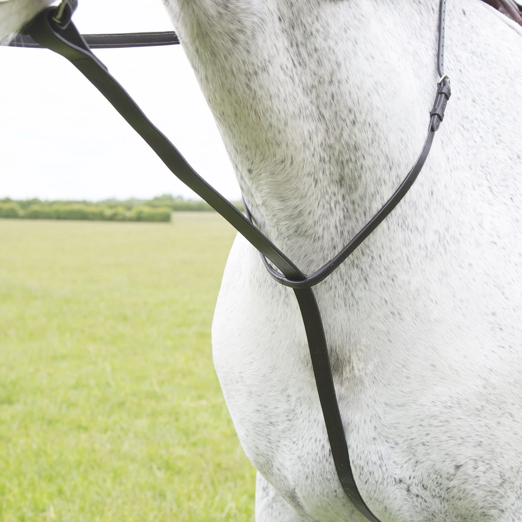 Velociti GARA Standing Martingale - Image 3