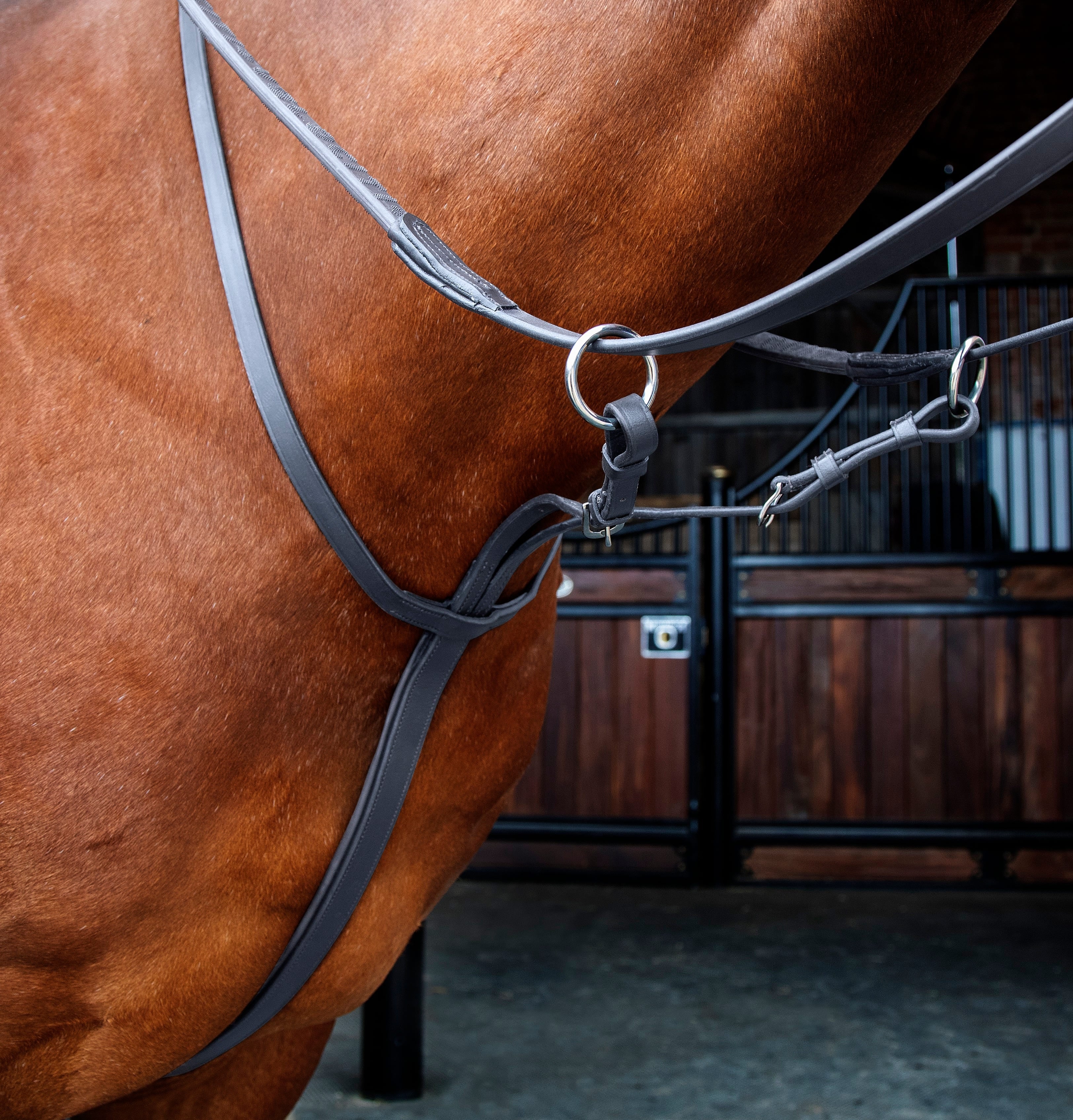 Velociti RAPIDA Running Martingale - Image 3